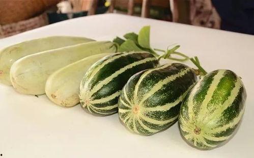 吃瓜香的网红叫什么,揭秘网红背后的故事