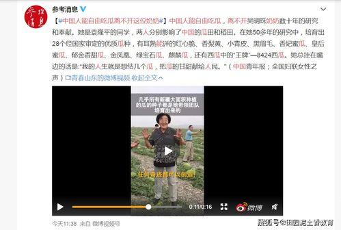 今日吃瓜网在线91,在线91独家揭秘，带你领略娱乐圈幕后风云