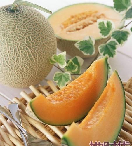 江西网红鹅吃哈密瓜,哈密瓜成新宠！