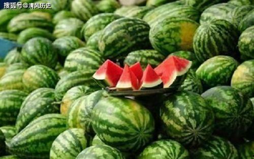 吃瓜网 官方,揭秘娱乐圈幕后故事，带你领略明星真实生活