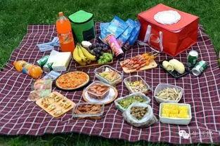 野餐兔网红吃瓜,揭秘娱乐圈幕后真相