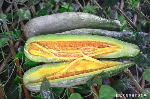 网红吃瓜金伊娜是谁,瓜界风云人物