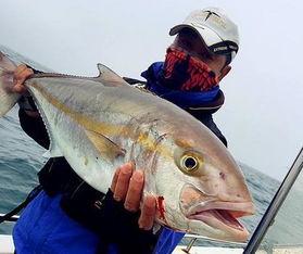 吃瓜网红鱼神,揭秘网红界的趣味生活