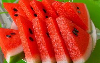 沙湾网红壮壮吃瓜,瓜王争霸谁主沉浮？