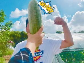 2022网红吃瓜大合集,盘点那些让人捧腹大笑的瞬间